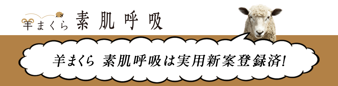 実用新案登録済み